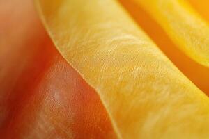 Close-up of translucent, golden-orange fabric with subtle texture and soft light. photo