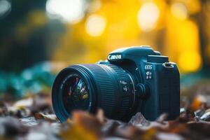 DSLR camera on autumn leaves. photo
