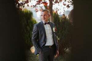 A man in a suit and bow tie stands in front of a tree photo