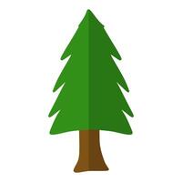 pine tree illustration vector