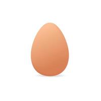 Chicken eggs isolated on white background vector