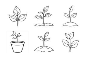 Illustration of a Sprouting Plant Fresh and Vibrant Growth vector