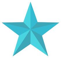 Star icon isolated on white background. vector