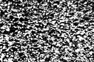 Abstract Black and White Leaf Texture - Intricate Nature-Inspired Grunge Pattern for Creative Projects vector