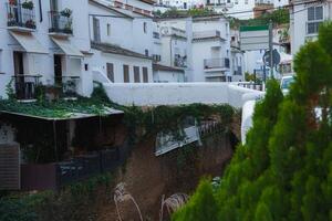 Whitewashed Houses Built into Rock Formations in Setenil De Las Bodegas photo