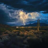 Tucson Lightning close up photo