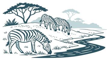 Herd of Zebras Drinking Water at a River with Wildlife vector