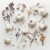 Fresh garlic, Delicious garlic on top view photo