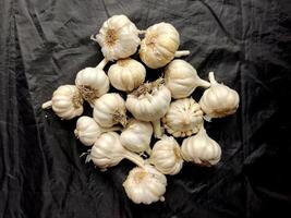 A cluster of fresh garlic bulbs against a dark background, showcasing their papery skin, bulbous heads, and clove-packed structure, emphasizing their natural texture and unique shape. photo