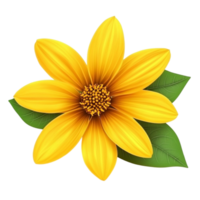 yellow flower with green leaves on transparent background png