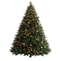 christmas tree transparent background png