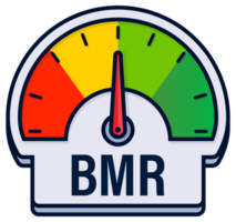 Basal Metabolic Rate BMR Assessment Gauges Illustration with Caloric Requirement Indicators png