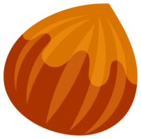 Hazelnuts at various stages of ripeness, showcasing the nut, shell, and kernel, providing a comprehensive visual guide to this popular nut png