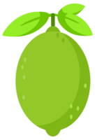 Set featuring whole and sliced lime fruits with leaves and flowers png