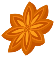 Cinnamon set. Cinnamon sticks tied with a rope. Fragrant spice. png