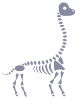 Set of five dinosaur skeletons standing on two legs with bones visible png