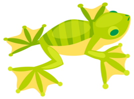 Four colorful frogs are sitting, jumping, and catching flies with their tongues in this cartoon illustration of amphibians png