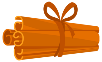 Cinnamon set. Cinnamon sticks tied with a rope. Fragrant spice. png