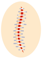 Collection of round icons representing various sutured wounds in different configurations, showing the process of surgical suture healing. png