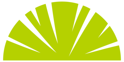 Collection of simple stylized green trees and bushes, perfect for representing nature in a simplified way png