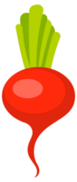 Red radish fresh with leave cartoon set. Ripe radishes png