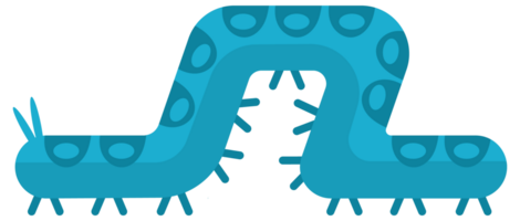 Set of colorful caterpillars crawling and smiling cartoon bug character design flat illustration png