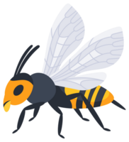 Four different cartoon style wasps flying and crawling with spread wings in different positions png