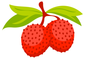 Lychee Set of fresh red. Tropical fruit whole and cut. png