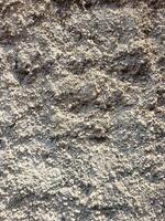 Cement texture of the wall photo