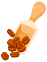 Coffee beans set. Showing various stages of roasting. Various angle for coffee product. png