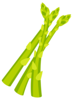Set of fresh green asparagus spears with closed buds, tied with string, isolated on white png