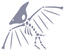 Set of five dinosaur skeletons standing on two legs with bones visible png