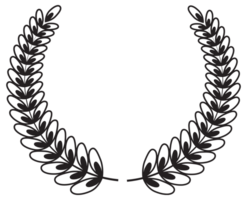 Simple black laurel wreath set. Different frame design elements. illustration png