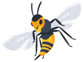 Four different cartoon style wasps flying and crawling with spread wings in different positions png