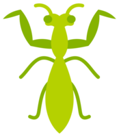 Insects set on white background. Ladybug and spider, mosquito. png