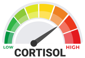 Cortisol Level Indicator Illustration with Visual Spectrum from Low to High for Stress and Health Monitoring png