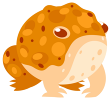 Four colorful frogs are sitting, jumping, and catching flies with their tongues in this cartoon illustration of amphibians png