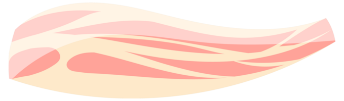Bacon icons set. Raw or Smoked Bacon strips. Thin Fatty Slices of Pork Rashers. png