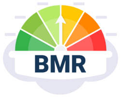 Colorful Basal Metabolic Rate BMR Indicator Gauge Illustration with Distinct Zones png
