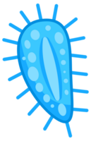 Bacteria and germs set. Types and microorganism. Germs and bacillus. png