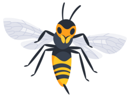 Four different cartoon style wasps flying and crawling with spread wings in different positions png