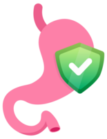 Set of stylized stomach icons in shades of pink, depicting various states of stomach health and conditions png