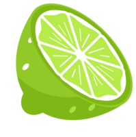 Set featuring whole and sliced lime fruits with leaves and flowers png