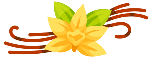 Set of illustrations featuring vanilla pods and vanilla flowers, ideal for projects related to flavoring, spices, and baking png