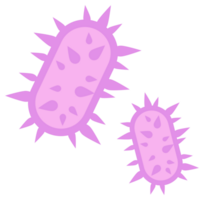 Bacteria and germs set. Types and microorganism. Germs and bacillus. png