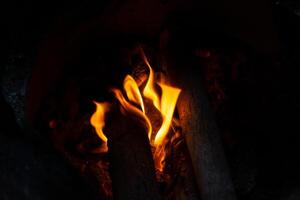 Burning wood branch texture for warm and atmospheric backgrounds in creative or professional projects photo