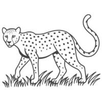 Easy Cheetah Coloring Design vector