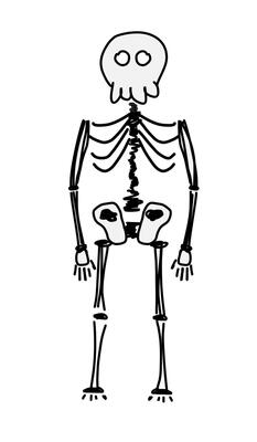 Hand-Drawn Skeleton Illustration. This illustration features a stylized, simplistic skeleton with a playful design, perfect for educational purposes.