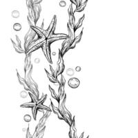 Sea blue algae with leaves wriggling in wave with bubbles and coral starfish. Graphic illustration hand drawn in black ink underwater world. Seamless vertical border pattern for long projects design vector