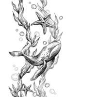Whale, sea blue algae with leaves wriggling in wave with bubbles and coral starfish. Graphic illustration hand drawn in black ink underwater world. Seamless vertical border pattern for long projects vector